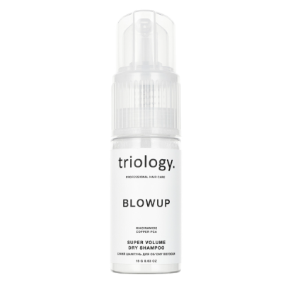 Сухий шампунь для об'єму волосся Blowup Triology 18 г